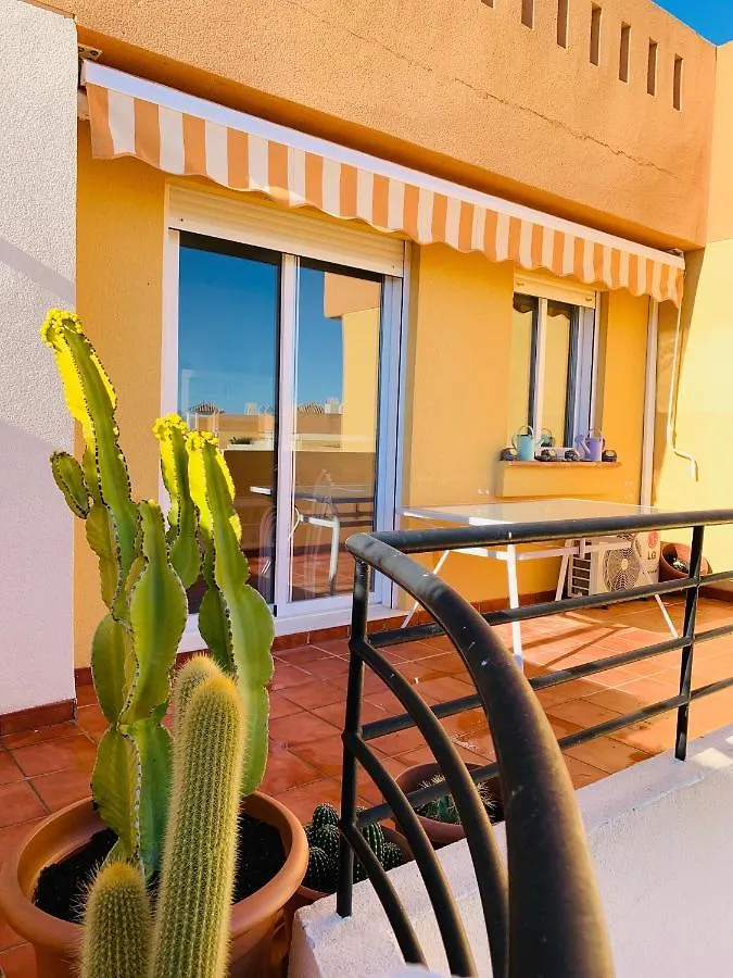 Apartamento Parque Vera IV NATURISTA Ático 0*,